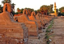 Praça Tahrir, o novo museu ao ar livre do Egito dennis jarvis flickr